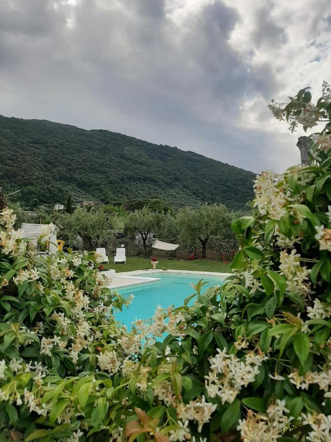 Alloggio Turistico L'Ulivo 몬테 산 비아지오 외부 사진
